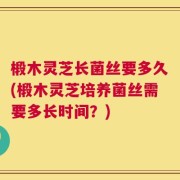 椴木灵芝长菌丝要多久(椴木灵芝培养菌丝需要多长时间？)