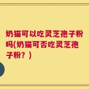 奶猫可以吃灵芝孢子粉吗(奶猫可否吃灵芝孢子粉？)