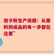 孢子粉生产周期：从原料到成品的每一步都在这里”
