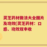 灵芝药材做法大全图片及功效(灵芝药材：口感、功效双丰收