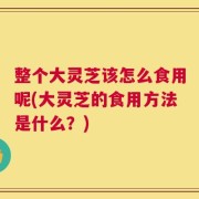 整个大灵芝该怎么食用呢(大灵芝的食用方法是什么？)