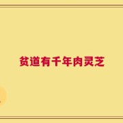 贫道有千年肉灵芝