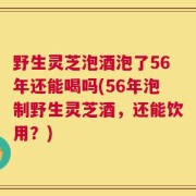 野生灵芝泡酒泡了56年还能喝吗(56年泡制野生灵芝酒，还能饮用？)