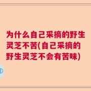 为什么自己采摘的野生灵芝不苦(自己采摘的野生灵芝不会有苦味)