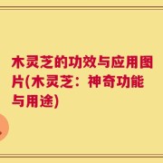 木灵芝的功效与应用图片(木灵芝：神奇功能与用途)