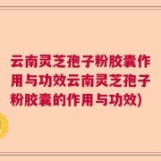 云南灵芝孢子粉胶囊作用与功效云南灵芝孢子粉胶囊的作用与功效)