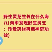 野生灵芝生长在什么海八(海中发现野生灵芝：珍贵药材再现神奇功效)