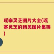 瑶寨灵芝图片大全(瑶寨灵芝的精美图片集锦)