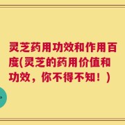 灵芝药用功效和作用百度(灵芝的药用价值和功效，你不得不知！)