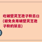 吃破壁灵芝孢子粉忌口(避免食用破壁灵芝孢子粉的禁忌)