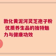 敦化黄泥河灵芝孢子粉 优质养生品的独特魅力与健康功效