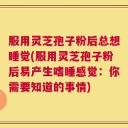 服用灵芝孢子粉后总想睡觉(服用灵芝孢子粉后易产生嗜睡感觉：你需要知道的事情)