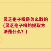 灵芝孢子粉是怎么取的(灵芝孢子粉的提取方法是什么？)
