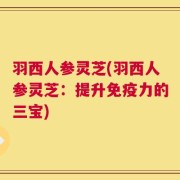 羽西人参灵芝(羽西人参灵芝：提升免疫力的三宝)