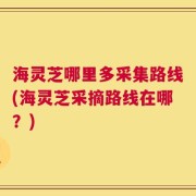 海灵芝哪里多采集路线(海灵芝采摘路线在哪？)