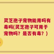 灵芝孢子宠物能用吗有毒吗(灵芝孢子可用于宠物吗？是否有毒？)