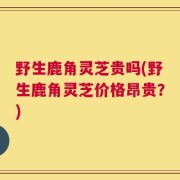 野生鹿角灵芝贵吗(野生鹿角灵芝价格昂贵？)