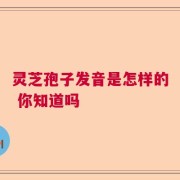 灵芝孢子发音是怎样的 你知道吗