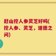 赶山挖人参灵芝好吗(挖人参、灵芝，道德之问)