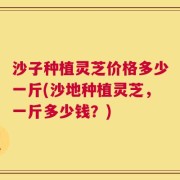 沙子种植灵芝价格多少一斤(沙地种植灵芝，一斤多少钱？)