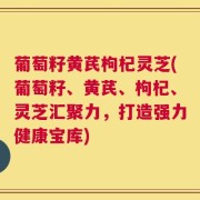 葡萄籽黄芪枸杞灵芝(葡萄籽、黄芪、枸杞、灵芝汇聚力，打造强力健康宝库)