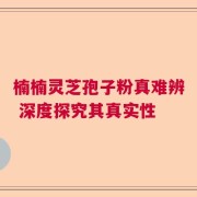 楠楠灵芝孢子粉真难辨 深度探究其真实性