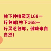林下种植灵芝168一斤包邮(林下168一斤灵芝包邮，健康来自自然)