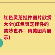 红色灵芝挂件图片欣赏大全(红色灵芝挂件的美妙世界：精美图片展示)