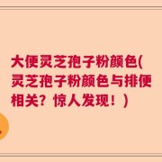 大便灵芝孢子粉颜色(灵芝孢子粉颜色与排便相关？惊人发现！)