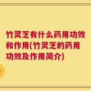 竹灵芝有什么药用功效和作用(竹灵芝的药用功效及作用简介)