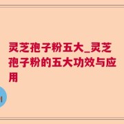灵芝孢子粉五大_灵芝孢子粉的五大功效与应用
