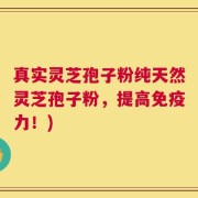 真实灵芝孢子粉纯天然灵芝孢子粉，提高免疫力！)