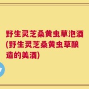 野生灵芝桑黄虫草泡酒(野生灵芝桑黄虫草酿造的美酒)