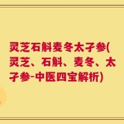 灵芝石斛麦冬太孑参(灵芝、石斛、麦冬、太孑参-中医四宝解析)