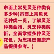 市面上常见灵芝种类有多少种(市面上常见灵芝种类一览，了解灵芝种类曲靖、灵芝种类解析，全面掌握多种灵芝花色，为您挑选健康产品提供参考。)