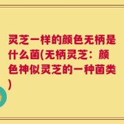 灵芝一样的颜色无柄是什么菌(无柄灵芝：颜色神似灵芝的一种菌类)