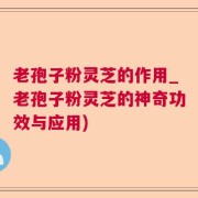 老孢子粉灵芝的作用_老孢子粉灵芝的神奇功效与应用)