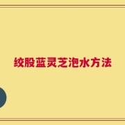 绞股蓝灵芝泡水方法