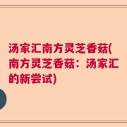 汤家汇南方灵芝香菇(南方灵芝香菇：汤家汇的新尝试)