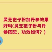 灵芝孢子粉加丹参效果好吗(灵芝孢子粉与丹参搭配，功效如何？)