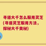 寻道大千怎么服用灵芝(寻道灵芝服用方法，探秘大千奥秘)