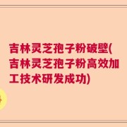 吉林灵芝孢子粉破壁(吉林灵芝孢子粉高效加工技术研发成功)