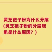 灵芝孢子粉为什么分层(灵芝孢子粉的分层现象是什么原因？)