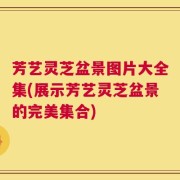 芳艺灵芝盆景图片大全集(展示芳艺灵芝盆景的完美集合)