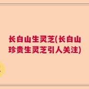 长白山生灵芝(长白山珍贵生灵芝引人关注)