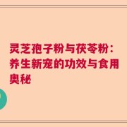 灵芝孢子粉与茯苓粉：养生新宠的功效与食用奥秘