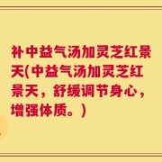 补中益气汤加灵芝红景天(中益气汤加灵芝红景天，舒缓调节身心，增强体质。)