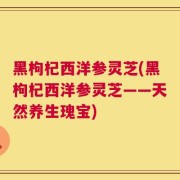 黑枸杞西洋参灵芝(黑枸杞西洋参灵芝——天然养生瑰宝)
