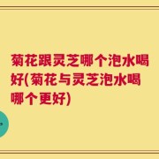 菊花跟灵芝哪个泡水喝好(菊花与灵芝泡水喝哪个更好)