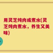 用灵芝炖肉或煮水(灵芝炖肉煮水，养生又美味)